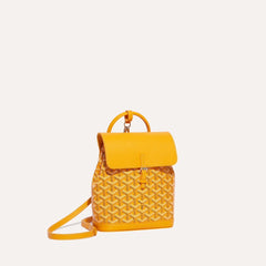 GOYARD Alpin Mini Backpack | Goya backpack (multicolor)
