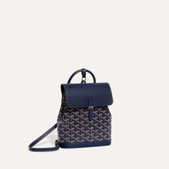 GOYARD Alpin Mini Backpack | Goya backpack (multicolor)