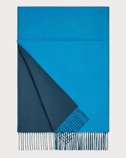 HERMES Men's Recto - Verso Muffler | 爱马仕 男仕颈巾 (多色) - LONDONKELLY 英国名牌代购