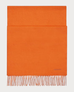 HERMES Men's Unie Brodee Muffler | 爱马仕 男仕颈巾 (多色) - LONDONKELLY 英国名牌代购