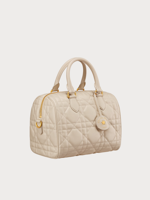 CHRISTIAN DIOR Dior Groove 25 Bag Macrocannage Calfskin(Dusty Ivory)