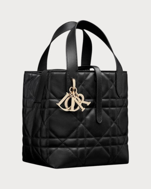 CHRISTIAN DIOR Small Dior Toujours Vertical Tote Bag | Dior Tote Bag (Multicolor)