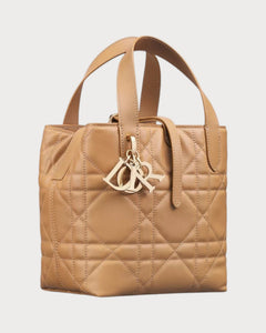 CHRISTIAN DIOR Small Dior Toujours Vertical Tote Bag | Dior Tote Bag (Multicolor)