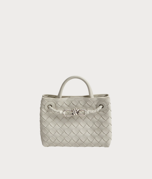 BOTTEGA VENETA Andiamo(Mini/4 Colors)