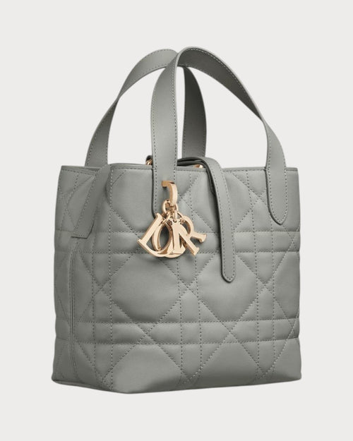 CHRISTIAN DIOR Small Dior Toujours Vertical Tote Bag | Dior Tote Bag (Multicolor)